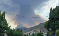 Πρόλαβαν την πυρκαγιά από κεραυνό στη Μελιταία Δομοκού