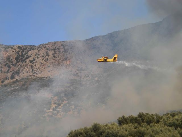 Λαμία: Συναγερμός για πυρκαγιά σε Παλαιοχώρι - Λιμογάρδι