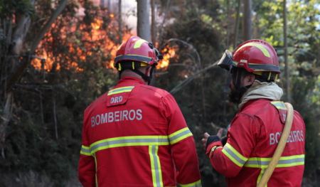 Υπό έλεγχο μετά από δύο βδομάδες η πυρκαγιά στη Μαδέρα - Δεν άφησε πίσω της θύματα