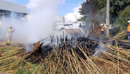 Χανιά: Φωτιά δίπλα στο εργοστάσιο της ΔΕΗ στην Ξυλοκαμάρα με ένα αυτοκίνητο να τυλίγεται στις φλόγες