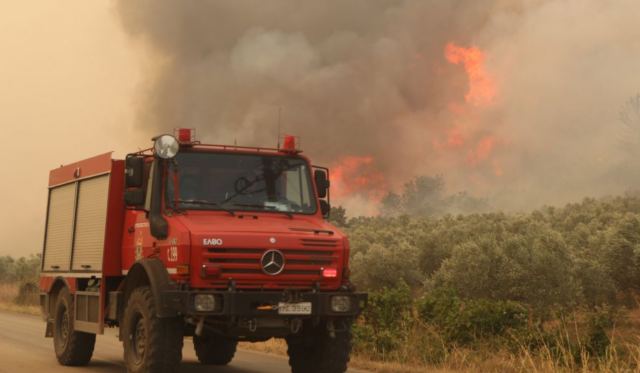 Οριοθετήθηκε η φωτιά στο Λογγίτσι Στυλίδας