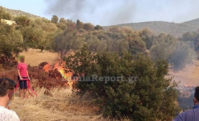 Νέα πυρκαγιά στη Λοκρίδα – Μεγάλη κινητοποίηση από γη και αέρα (ΦΩΤΟ)