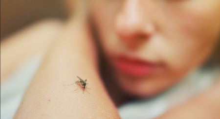 Τα κουνούπια τσιμπούν εμένα και όχι τους άλλους. Γιατί;
