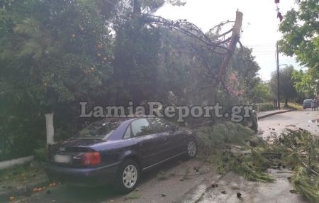 Έσπασε δέντρα το δυνατό μπουρίνι στα Καμένα Βούρλα (ΦΩΤΟ)