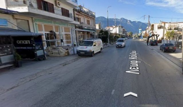 Στα Καλύβια περιφέρεται ένα λυκόσκυλο