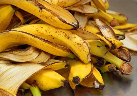 Γιατί δεν πρέπει να πετάς τη φλούδα της μπανάνας στα σκουπίδια – Οι επιστήμονες εξηγούν το λόγο