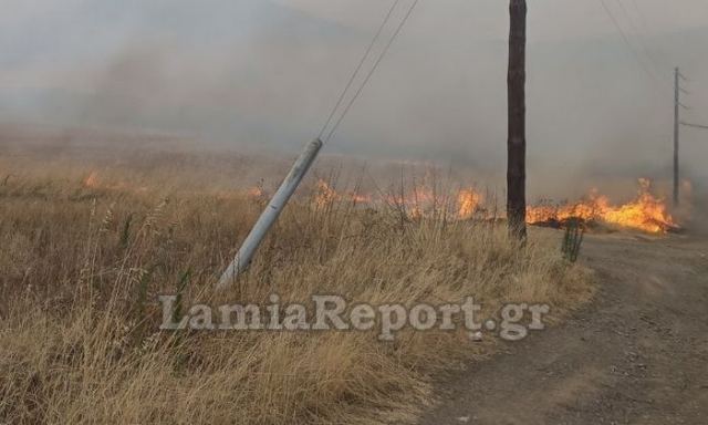 Ποινή φυλάκισης ενός έτους σε 58χρονο για την πυρκαγιά στην Κορομηλιά Δομοκού