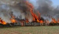 Μεγάλη κινητοποίηση για πυρκαγιά στη Λυγαριά (ΒΙΝΤΕΟ)