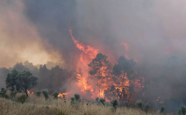 Φωτιά στην Ξάνθη στην περιοχή Τοξότες: Στη μάχη 25 πυροσβέστες και 2 ελικόπτερα