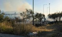 Λαμία: Πυρκαγιά δίπλα στα διόδια Μαυρομαντήλας (ΦΩΤΟ)