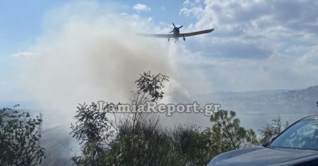 Με επίγεια και εναέρια μέσα, πρόλαβαν την πυρκαγιά στο Καλαμάκι