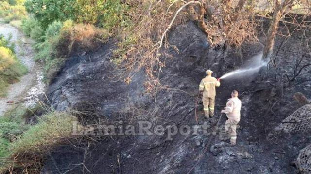 Από πελαργό προκλήθηκε πυρκαγιά κοντά στο Καινούριο (ΒΙΝΤΕΟ-ΦΩΤΟ)