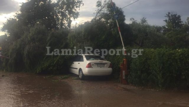 Μπουρίνι σάρωσε Αχινό, Ράχες και Αχλάδι - Έπεσε χαλάζι και έριξε δέντρα (ΒΙΝΤΕΟ-ΦΩΤΟ)