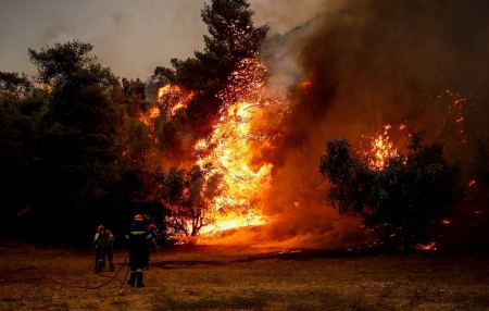 Φωτιά στο Πευκόδασος στο Κιλκίς – Μήνυμα από το 112