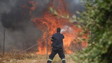 Υπό μερικό έλεγχο η πυρκαγιά σε δασική έκταση στη Δάφνη Βοιωτίας