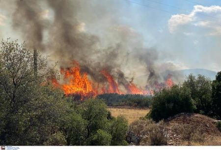 Φωτιά στον Προφήτη Ηλία Ηρακλείου: Μήνυμα του 112 στους κατοίκους να απομακρυνθούν από την περιοχή
