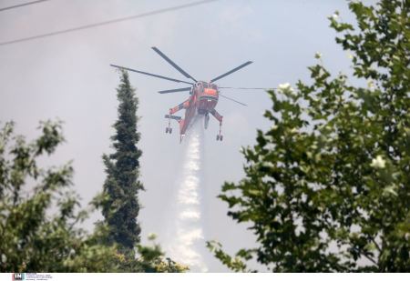 Φωτιά στο Μαρκόπουλο: Ξέσπασαν δύο διαφορετικές εστίες, σηκώθηκαν εναέρια μέσα