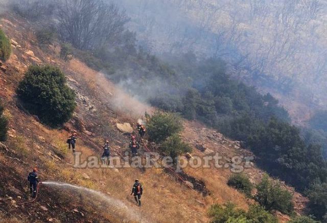 Τιτάνια μάχη με τις φλόγες στην Καμηλόβρυση (ΦΩΤΟ-ΒΙΝΤΕΟ)