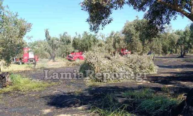 Πυρκαγιά στη Σκάρφεια - Σηκώθηκαν τα PZL (ΒΙΝΤΕΟ-ΦΩΤΟ)