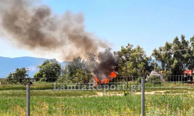 Λαμία: Πυρκαγιά στον παράδρομο της εθνικής (ΦΩΤΟ)