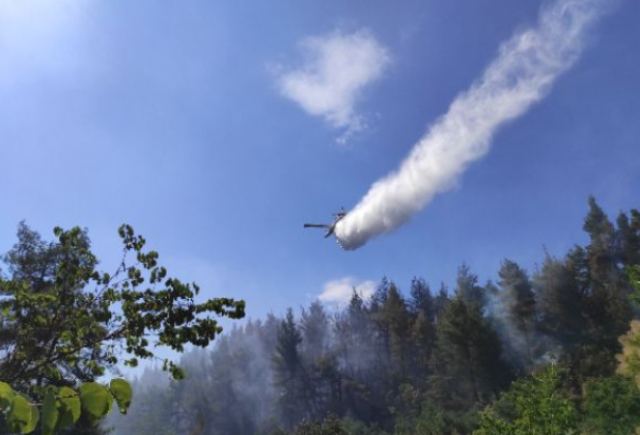 Στερεά: Εστάλη μήνυμα του 112 χωρίς να υπάρχει πυρκαγιά!