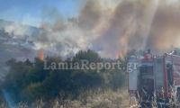 Υψηλός κίνδυνος πυρκαγιάς την Κυριακή σε Φθιώτιδα, Βοιωτία, Εύβοια