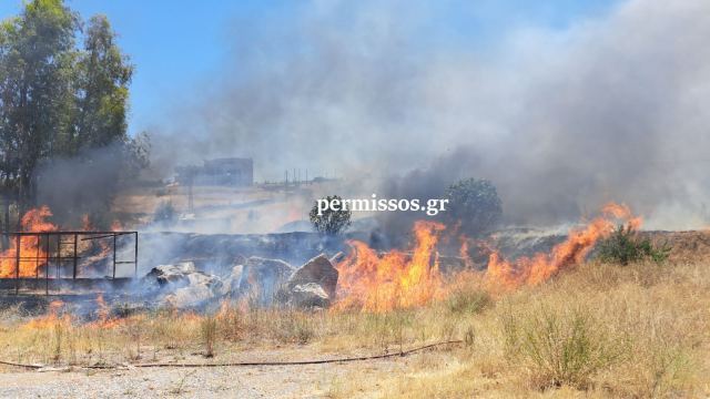 Πυρκαγιά κοντά στο Νοσοκομείο της Θήβας (ΒΙΝΤΕΟ)