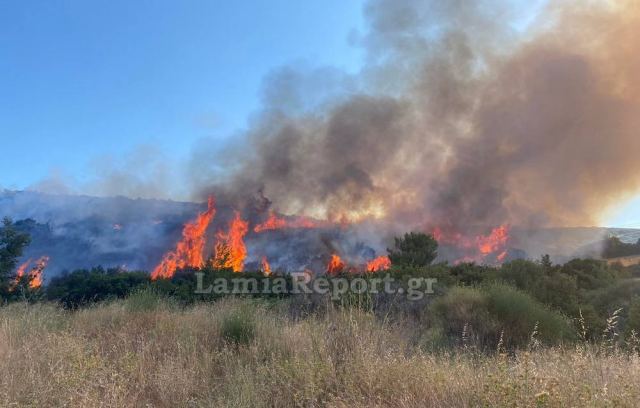 Νέα «καμπάνα» στη Στερεά Ελλάδα για καύση υπολειμμάτων