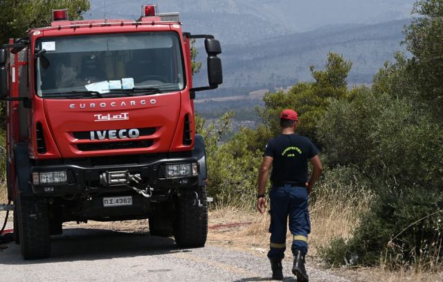 Φωτιά στο Βασιλικό Καλαμπάκας Τρικάλων