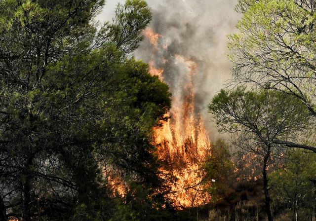 Χανιά: Τρία παιδιά προκάλεσαν φωτιά στην Θέρισο με κροτίδες και δυναμιτάκια