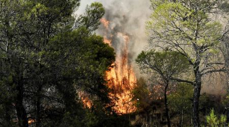 Πολύ υψηλός κίνδυνος πυρκαγιάς σήμερα για 6 περιφέρειες – Δείτε τις περιοχές