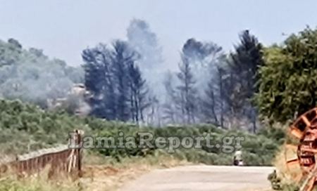 Πυρκαγιά σε δασική έκταση στις Λιβανάτες (ΒΙΝΤΕΟ)