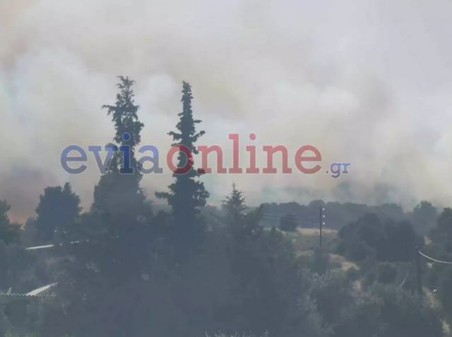 Φωτιά στην Εύβοια κοντά στο χωριό Κοντοδεσπότι – Μάχη από γη και αέρα