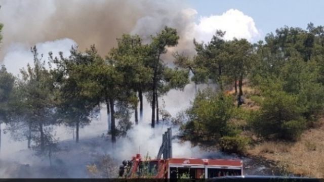 Πυροσβεστική: 46 αγροτοδασικές πυρκαγιές το τελευταίο 24ωρο σε όλη τη χώρα