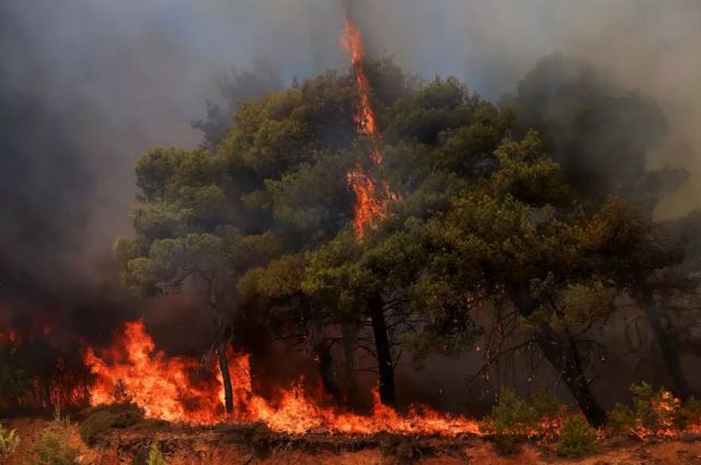 Φωτιά στη Θεσσαλονίκη στην περιοχή του Χορτιάτη, επιχειρεί κι ένα ελικόπτερο