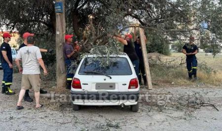 Λαμία: Έσπασε δέντρο και καταπλάκωσε αυτοκίνητο - Δείτε εικόνες