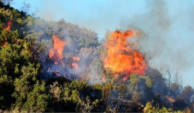 Θέλουν να κάψουν όλη την Εύβοια - Νέα μεγάλη φωτιά σε εξέλιξη!