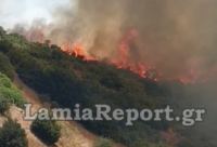 Λαμία: Μεγάλη φωτιά σε εξέλιξη στην Καμηλόβρυση - ΒΙΝΤΕΟ