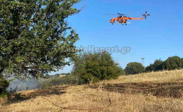 Πυρκαγιά από κεραυνό σε πευκοδάσος στην Εύβοια