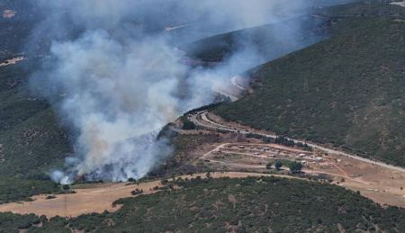 Απίστευτο: Τριάντα πυρκαγιές σε ένα μήνα στην Καμηλόβρυση Λαμίας