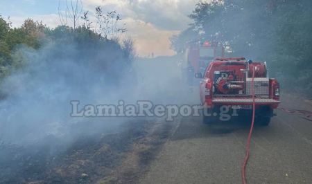 Πυρκαγιά από κεραυνό στη δυτική Φθιώτιδα (ΦΩΤΟ)