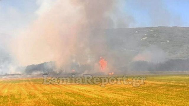 Πρόλαβαν πολύ επικίνδυνη πυρκαγιά στην Παναγιά Δομοκού (ΒΙΝΤΕΟ)