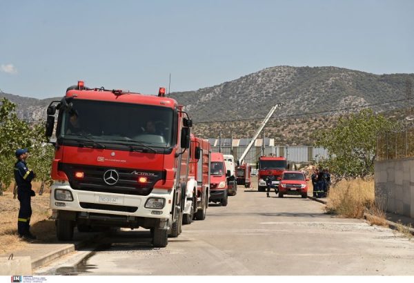 Τι ισχύει για την καύση φυτικής βλάστησης ανά περίοδο