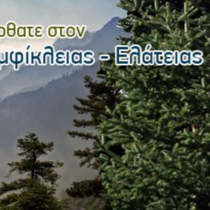 Δήμος Αμφίκλειας - Ελάτειας: Πρόσκληση τακτικής συνεδρίασης Δημοτικού Συμβουλίου