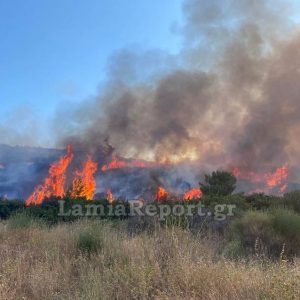 Μεγάλο πρόστιμο για φωτιά στην Κωπαΐδα