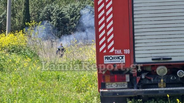 Στερεά: Πρόστιμα άνω των 4.000 ευρώ για άναμμα φωτιάς εκεί που δεν έπρεπε