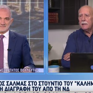 Σαλμάς: Δεν παραδίνω την έδρα μου – Όποιος έχει ιδιοκτησιακή αντίληψη της παράταξης, κάνει λάθος