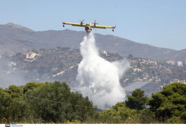 Φωτιά στην Ηλεία – Μεγάλη κινητοποίηση της Πυροσβεστικής