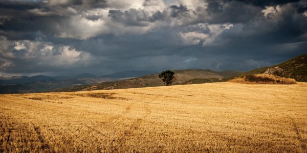 Πωλείται επαγγελματικό αγροτεμάχιο στη "Μαυρομαντήλα"