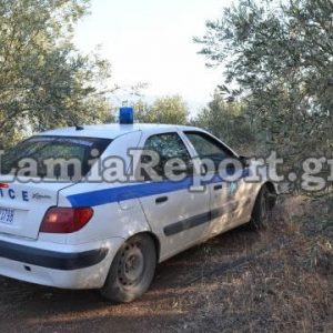 Μπήκαν σε ξένο κτήμα και μάζεψαν 150 κιλά ελιές - Τέσσερις συλλήψεις